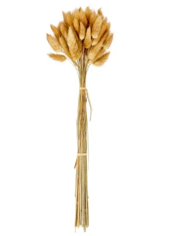 Best CASA LINDE Vase Brun Clair