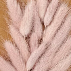 Sale CASA MINA Cloche Avec Déco Séchée Rose