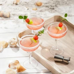 Hot CASA MIXOLOGY Verre à Cocktail 22,5 CL Transparent