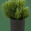 Sale CASA MOHAVE Diverses Couleurs