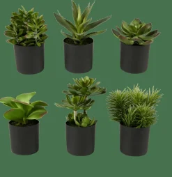 Sale CASA MOHAVE Diverses Couleurs