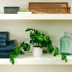 Best CASA MONSTERA Plante Diverses Couleurs, Blanc, Vert