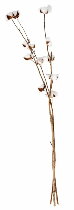 Clearance CASA MONTANA Vase Sable