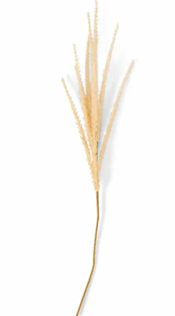 Clearance CASA MONTANA Vase Sable