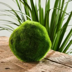 New CASA MOSS Boule De Mousse Vert