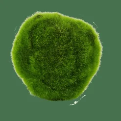 New CASA MOSS Boule De Mousse Vert