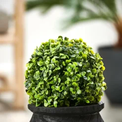 CASA OAK Socle Naturel