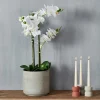 Discount CASA ORCHID Orchidée En Pot Blanc