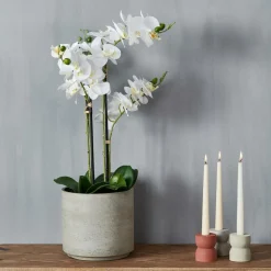 Discount CASA ORCHID Orchidée En Pot Blanc
