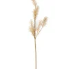 Best CASA PAMPA Herbe Des Pampas Blanc