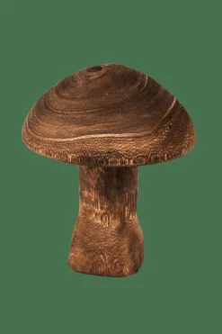 Online CASA PAULO Champignon Brun