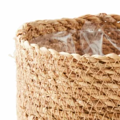 Outlet CASA PHALARIS Herbe Décorative Cuivre