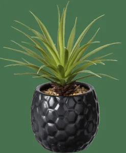 Clearance CASA PINA Plante D'ananas En Pot Noir