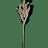 Discount CASA PINE Branche Doré