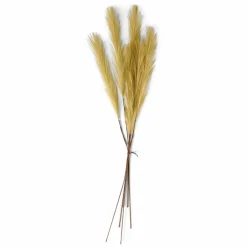 Outlet CASA PLUME Plumes Décoratives Brun Clair