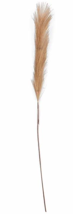 Outlet CASA PLUME Plumes Décoratives Brun Clair
