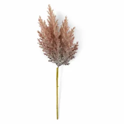 Outlet CASA PLUME Plumes Décoratives Brun Clair