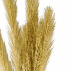 Outlet CASA PLUME Plumes Décoratives Brun Clair