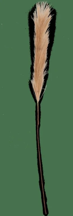 Best CASA PLUME Plumes Décoratives Brun