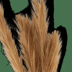 Best CASA PLUME Plumes Décoratives Brun