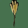 Sale CASA PLUME Plumes Décoratives Vert