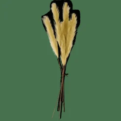 Sale CASA PLUME Plumes Décoratives Vert