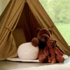 Clearance CASA POLA Ours Brun