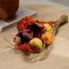 New CASA PUMPI Bouquet Fleurs Séchées Diverses Couleurs