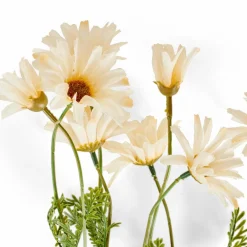 New CASA RONDA Vase Beige