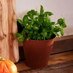 Outlet CASA RUSTY Pot De Fleurs Brun