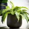 New CASA SENSE Pot De Jardin Noir
