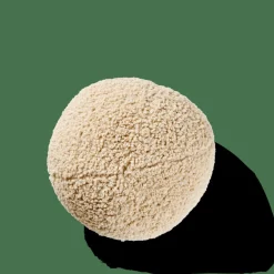 New CASA SHAUN Coussin Beige