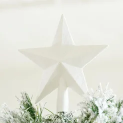 Sale CASA STAR Décoration Séchée