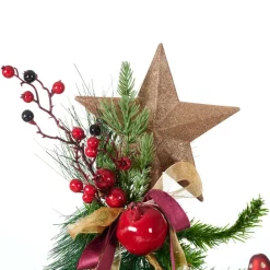 Sale CASA STAR Décoration Séchée