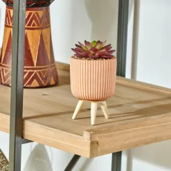 Clearance CASA STRIPE Plante Grasse Artificielle Multicolore