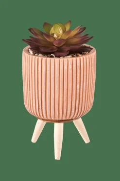 Clearance CASA STRIPE Plante Grasse Artificielle Multicolore