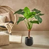 Sale CASA TARO Plante Artificielle Arum Vert