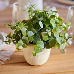 New CASA TERRA Pot Avec Plante Blanc, Vert