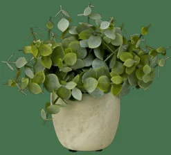New CASA TERRA Pot Avec Plante Blanc, Vert