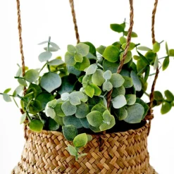 New CASA TERRA Pot Avec Plante Blanc, Vert