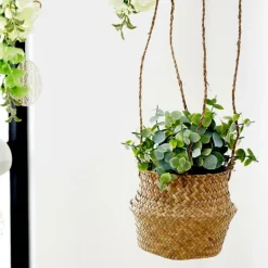 New CASA TERRA Pot Avec Plante Blanc, Vert