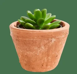Best CASA TIERRA Pot De Fleurs Terre Cuite